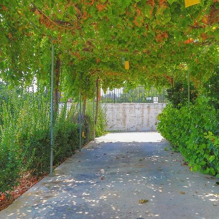 Villa Aphrodite Finiki Polis Esterno foto